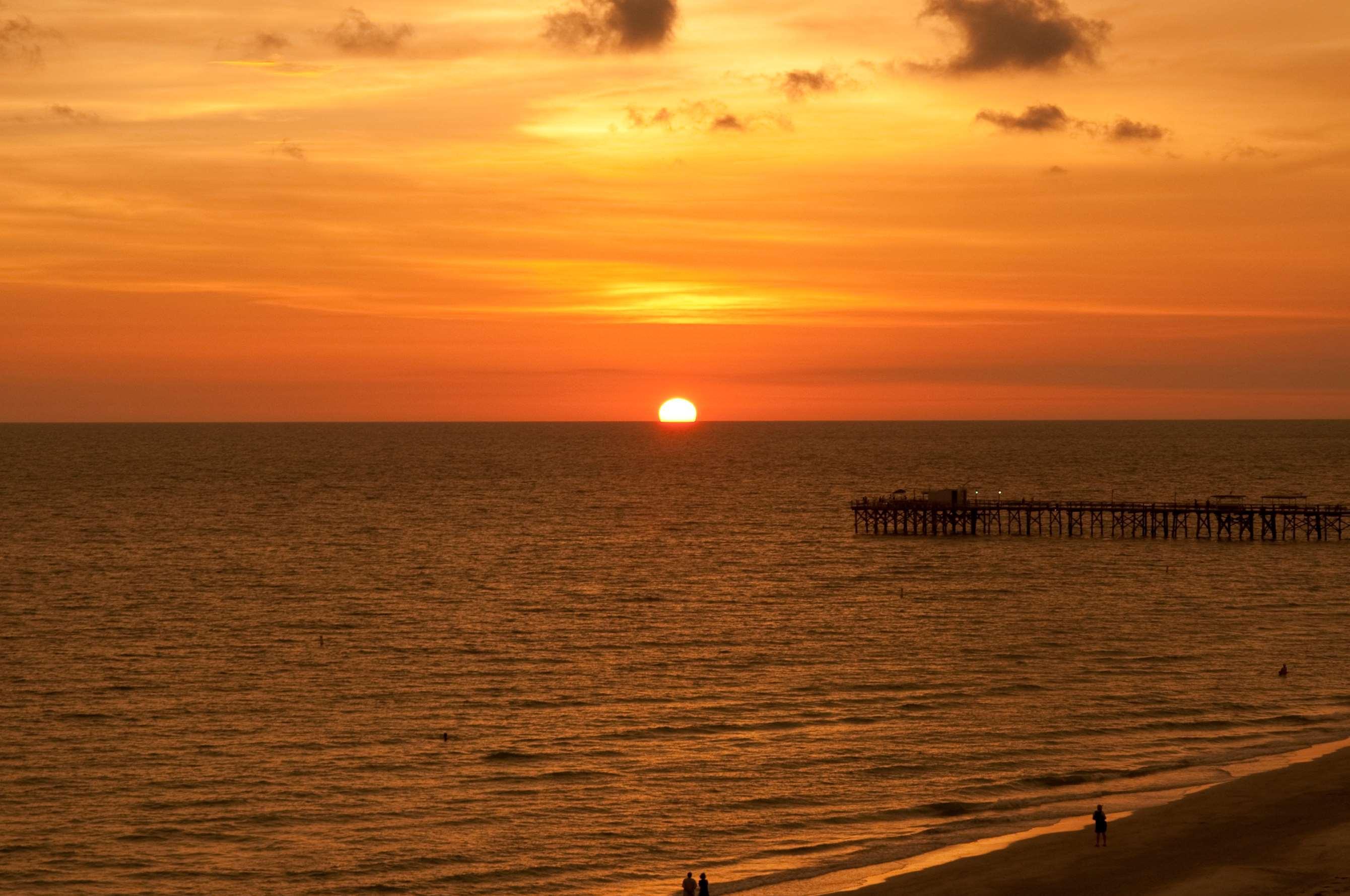 Doubletree Beach Resort By Hilton Tampa Bay - North Redington Beach St. Pete Beach Faciliteiten foto